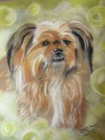 /album/galerie-photos/photo-1439-jpg/